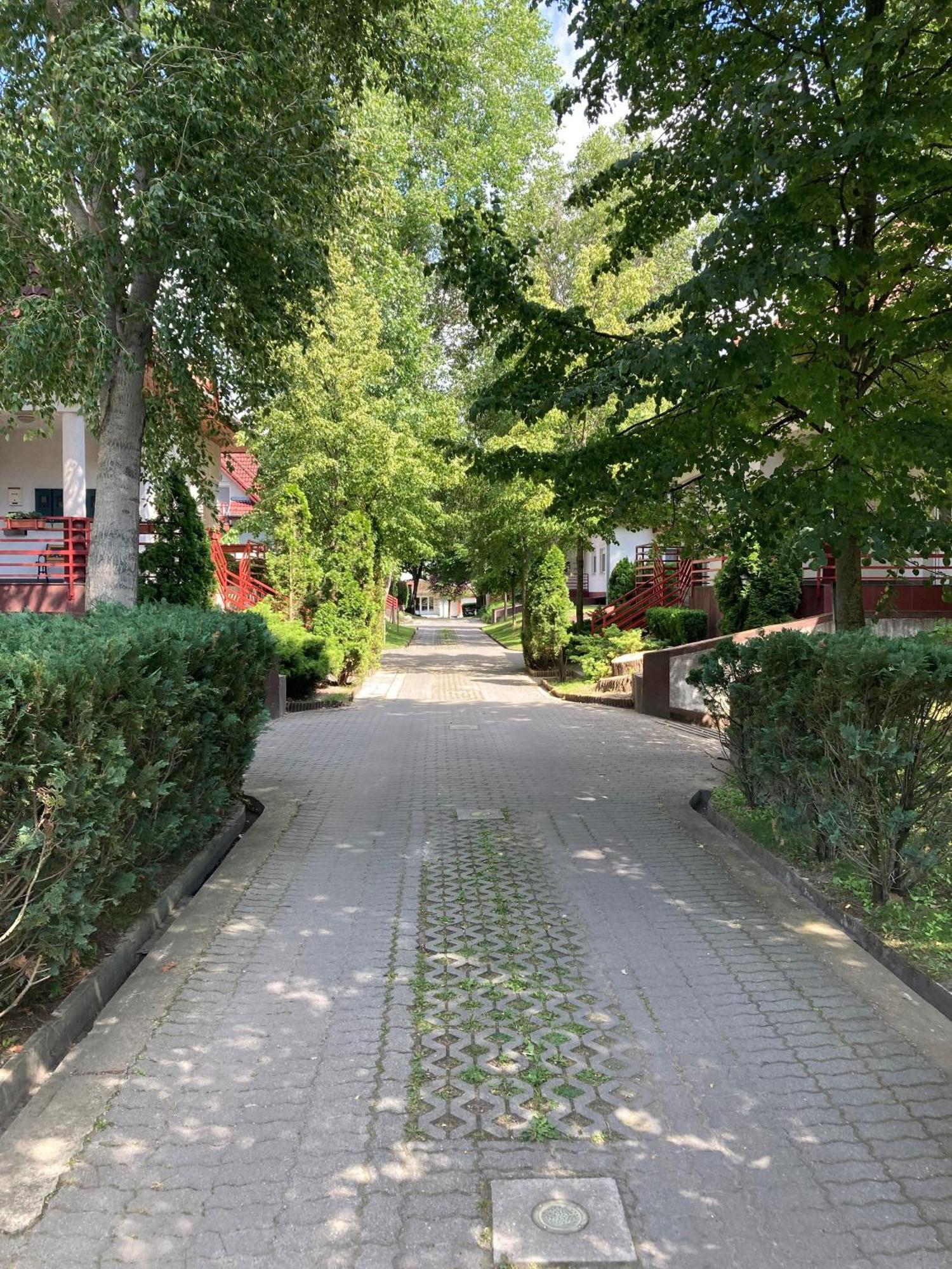 Kiraly Csaladi Apartman- Royal Family Apartment #Freegarage Budapest Eksteriør billede